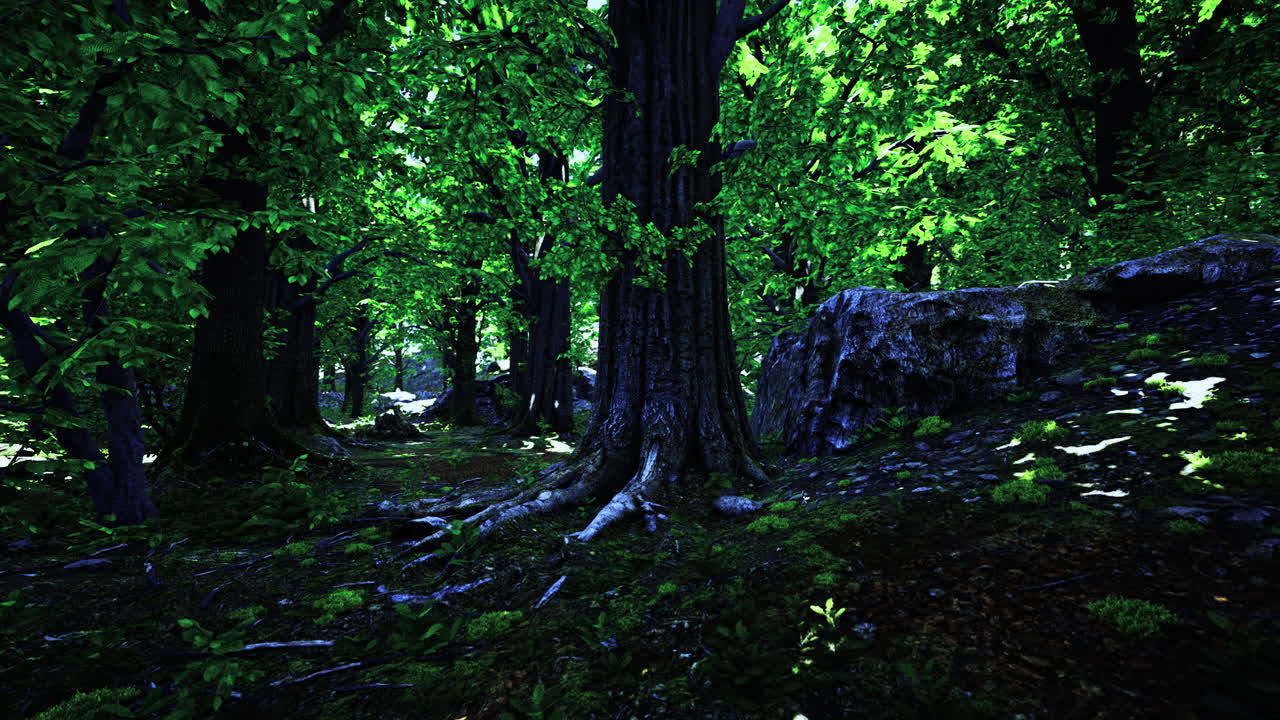 Lush green forest alive with vibrant flora and tranquil shadows in daylight
