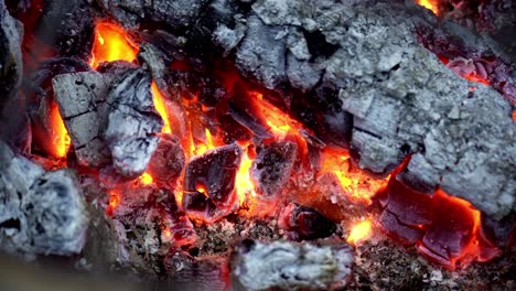 close up shot of burning and hot charcoal coals