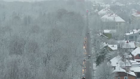aerial view of nature and city intersection in a winter day. lithuania.