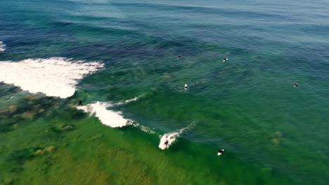 Vista-Aérea-De-Drones-De-Surfistas-Disfrutando-De-Tallar-Las-Olas-Del-Océano-En-Invierno-Shelly-Beach-Costa-Central-Nsw-Australia-3840x2160-4k