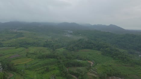 Drone-Vuela-Sobre-Campo-Agrícola-Verde-En-El-Campo-Indonesio