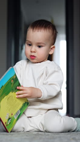 bebé leyendo un libro