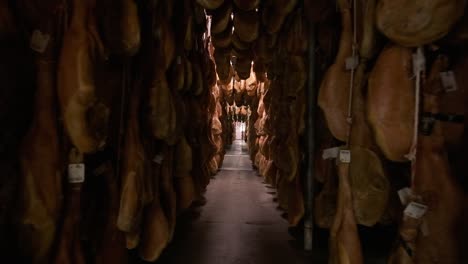 jamon serrano pig legs factory hanging in a industry. iberian ham elaboration process