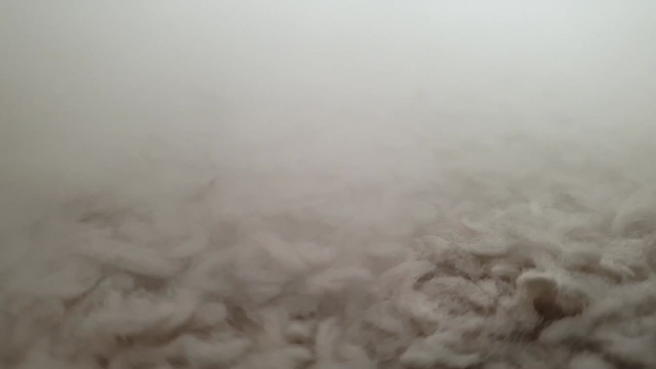 프레임 간 비디오 전환 또는 프레젠테이션에 으스스한 유령 효과를 생성하는 슬로우 모션 안개 연기