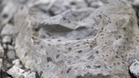 rain starts to fall on the rock in nafels, switzerland on a rainy day - close up