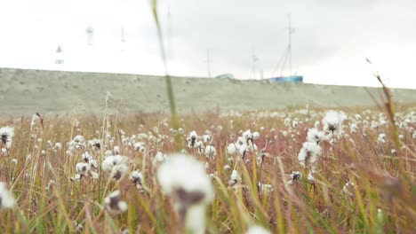 arctic tundra landscape with infrastructure