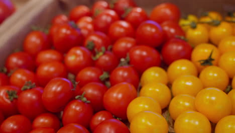 tomates cereza rojos y amarillos