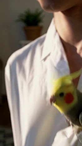 cockatiel on a person's shoulder