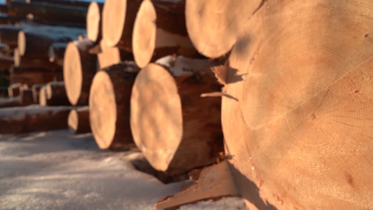 겨울에 파란 하늘을 배경으로 쌓인 목재