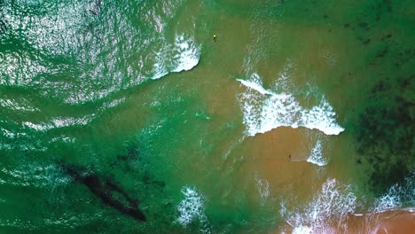 Vista-Aérea-Del-Océano,-Olas-Aplastantes,-Surfistas-Y-Playa,-4k