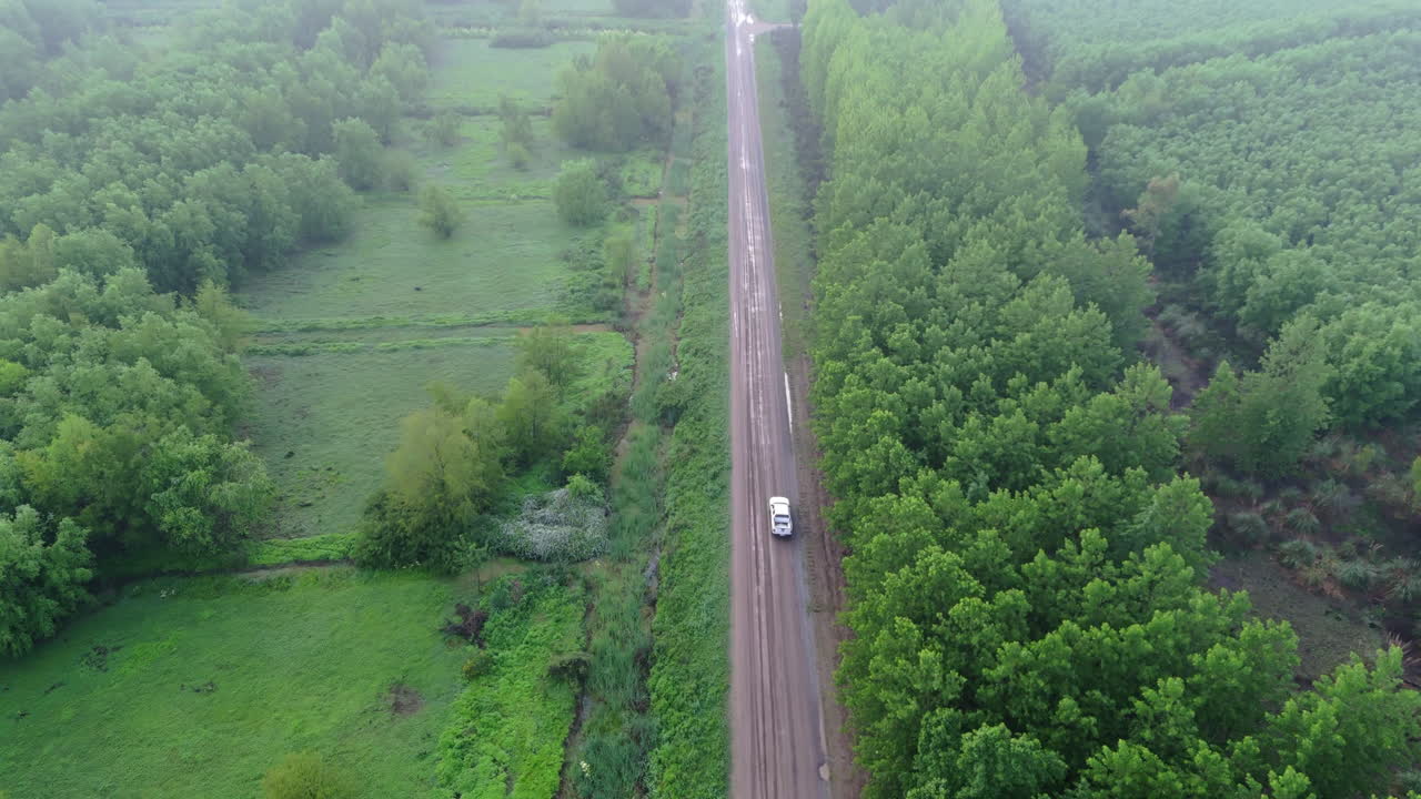 Fast daisy cutter drone footage over white car driving in dirt road between tree rows during morning. Fog gives mysterious and intriguing vibe to scene. Shot on 4K at 60fps.