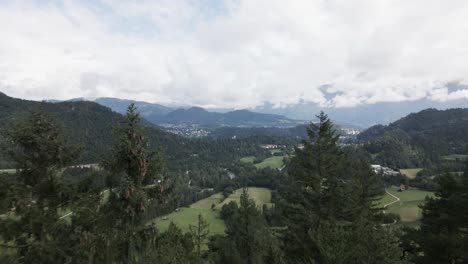 Forrest-Y-Pequeño-Pueblo-Entre-Las-Montañas-De-Los-Alpes