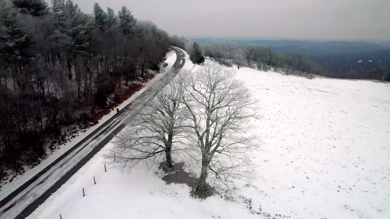겨울에 두 그루의 고독한 나무, 바람 부는 바위 근처의 산 전망과 노스 캐롤라이나주 분 노스캐롤라이나