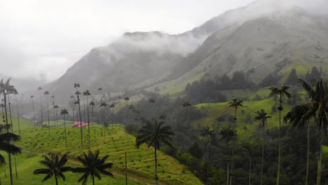 famous cocora valley in colombia with its tall wax palm tree, travel destination