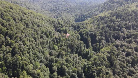 Lago-Natural-Del-Bosque-De-Montaña