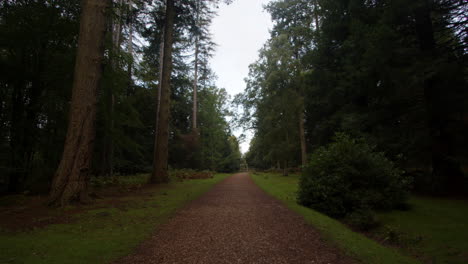 Weg-Hinauf-Zum-Blackwater-Arboretum