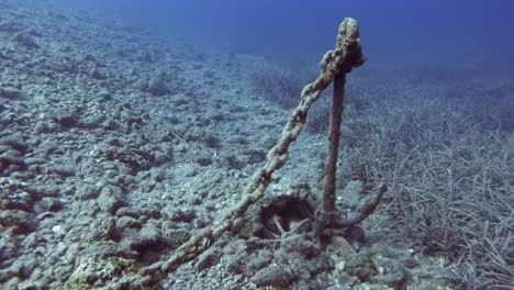 ancla oxidada y cadena sumergida bajo el mar en la isla de cefalonia, grecia