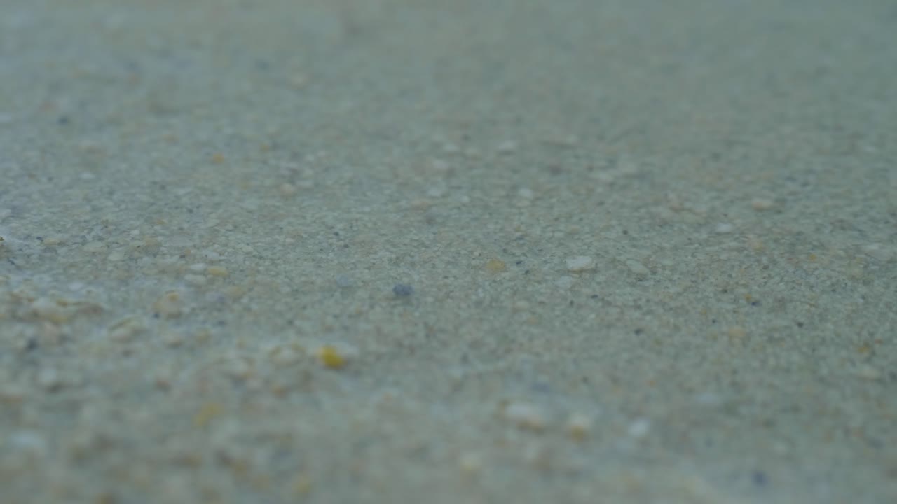 Close-up of wet sand