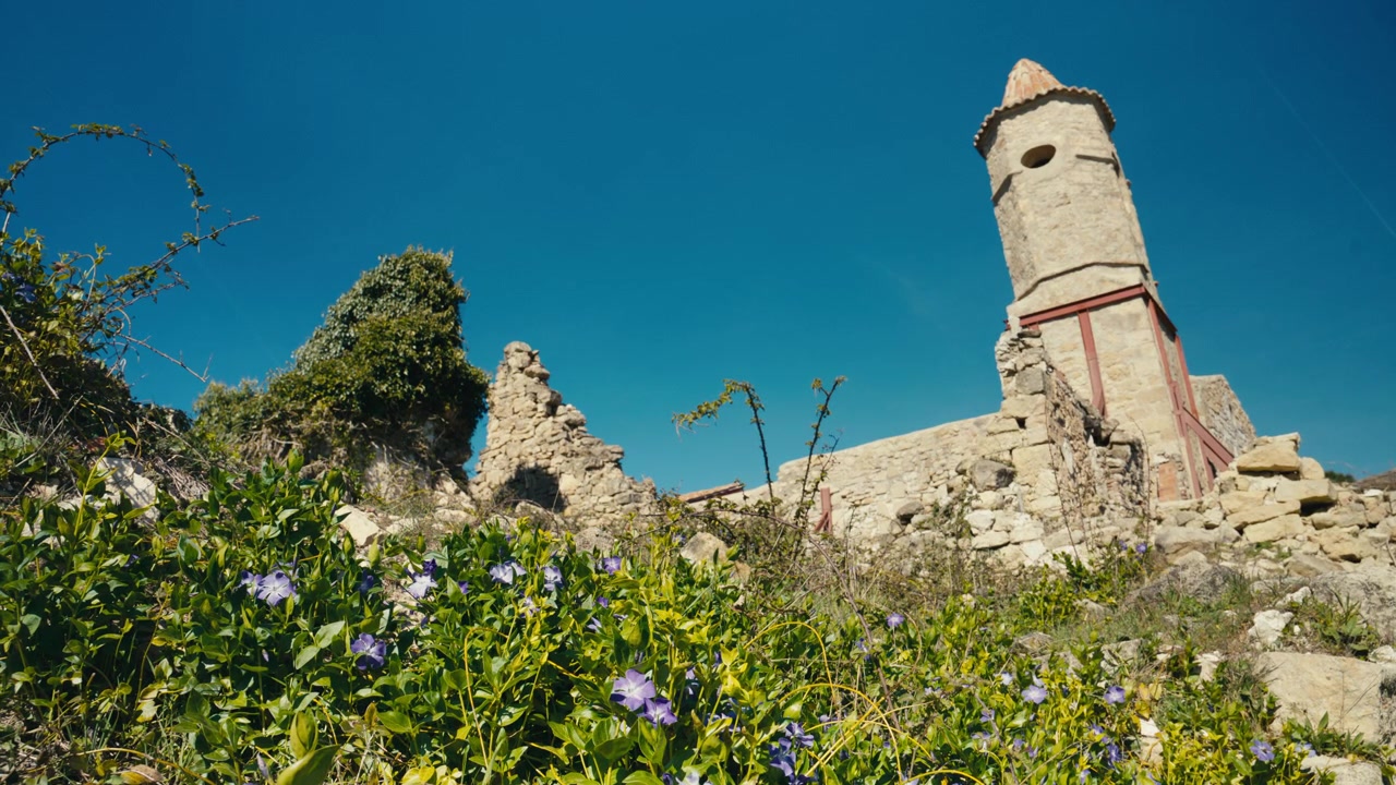 Fiori selvatici viola sbocciano in primo piano sotto un campanile invecchiato e rovine di pietra fatiscenti, creando un vivido contrasto tra la crescita primaverile e il decadimento storico.