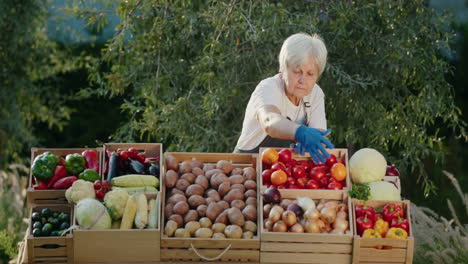 portrait of an elderly woman seller at a farmer's market. standing behind a counter with local vegetables