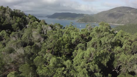 la antena de la montaña de la jungla ventosa revela veleros en un mar verde tranquilo