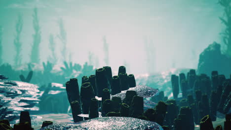 underwater coral reef with sun rays