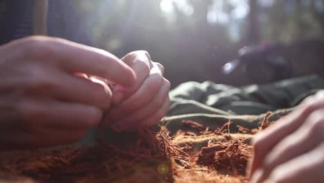 dividir fibras de madera a la luz del sol