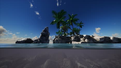 agua fangosa marrón y palmeras en la isla