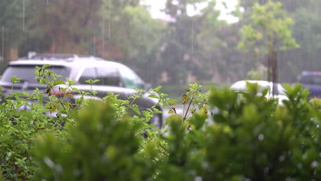 La-Tormenta-Tropical-Hilary-Trae-Fuertes-Lluvias-A-Los-Vecindarios-Del-Sur-De-California-Durante-La-Temporada-Climática-De-El-Niño