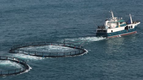 a mid sized marine vessel tows four fish farms along the west australian coast.