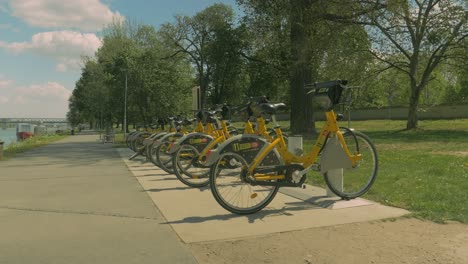 group of yellow city bicycles for rent in green park, dolly forward