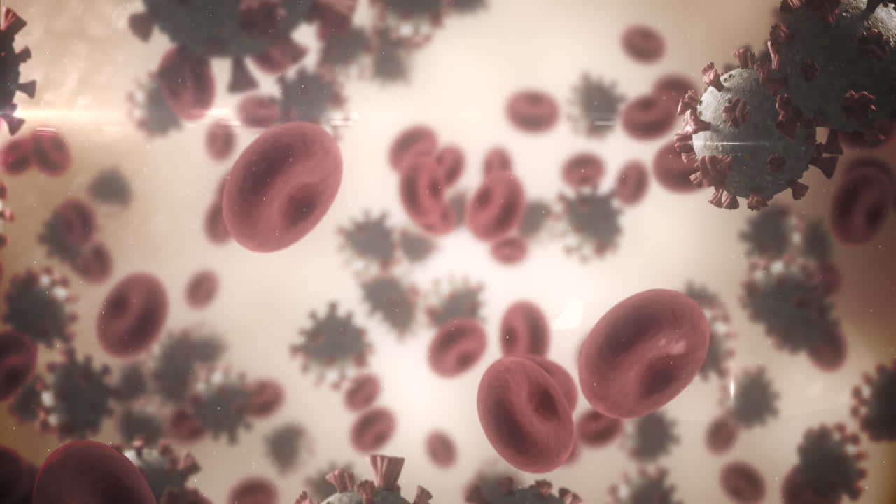 Animazione di macro cellule di Coronavirus Covid-19 che fluttuano in una vena. 4k