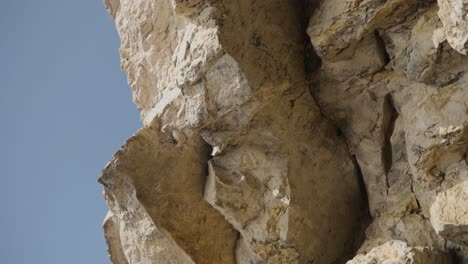 close-up of a rocky cliff face