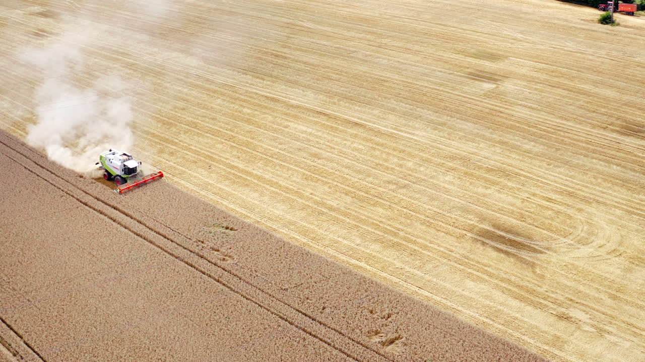 Agriculture machine working on field at harvest season. White dust after the combine rising in the air. Harvesting machine collects ripe crop. Aerial view.
