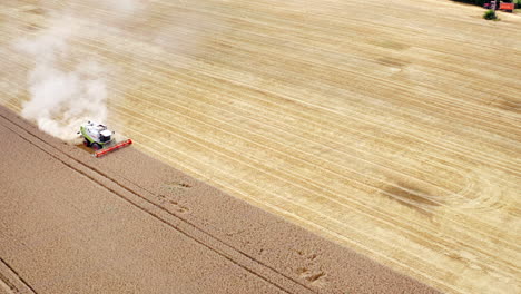 agriculture machine working on field at harvest season. white dust after the combine rising in the air. harvesting machine collects ripe crop. aerial view.