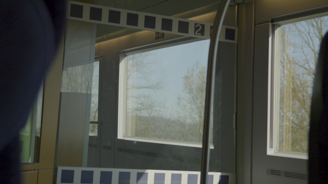 Inside a moving German ICE train, the view from a passenger's perspective shows trees passing by