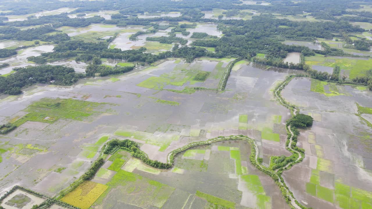 방글라데시의 침수된 농경지