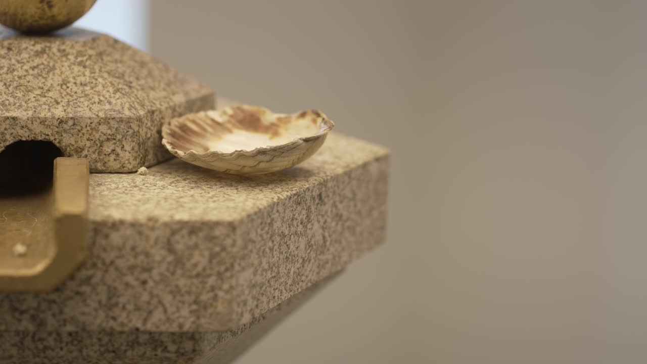 Seashell on a Granite Fountain
