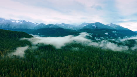 clouds over forest of mount rainier park. mountain american nature with clouds.