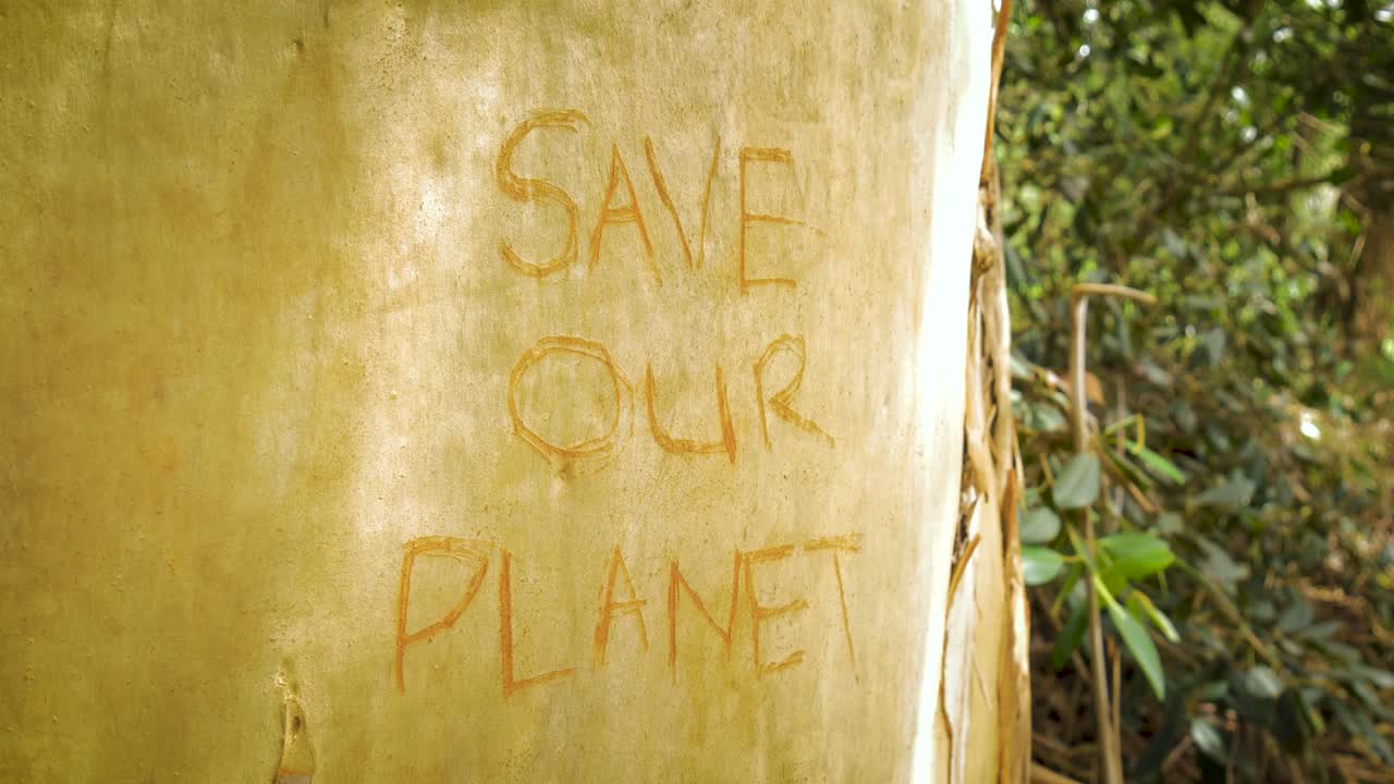 4K shot of a rain forest tree with the words "save our planet" carved into the bark. Clip contains an anti deforestation protest sign etched into a tree, jungle, bark, leaves, 4k green, nature