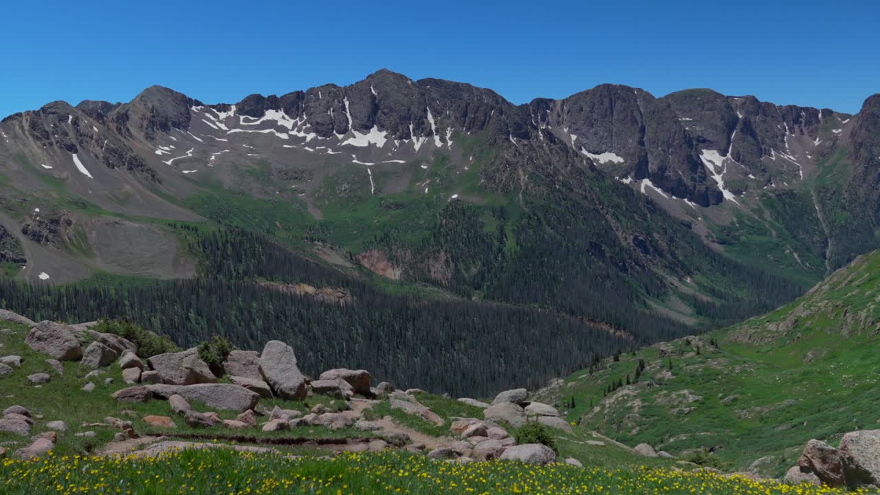 тропа близнецких озер зеленое лето чикагский бассейн колорадо сильвертон сан-хуан горный хребет утром снег тает гора эулос четырнадцатилетние солнечный свет виндом пик сильвертона июль блюзовые дикие цветы статические