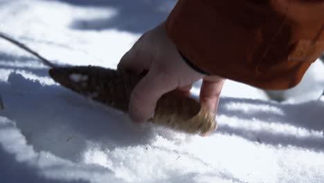 Nahaufnahme-Einer-Männlichen-Hand,-Die-An-Einem-Kalten-Wintertag-Tannenzapfen-Vom-Schneebedeckten-Waldboden-Aufhebt