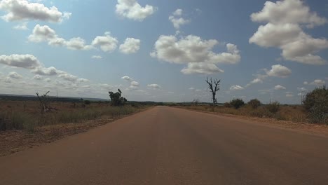 POV-Eines-Fahrzeugs,-Das-Auf-Einer-Unbefestigten-Straße-Im-Krüger-Nationalpark-Fährt