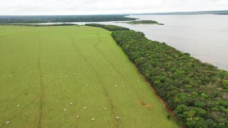 drone-view-of-Ecological-Corridor-to-link-rainforest-fragments,-Corridors-of-Life-AR-Project,-carbon-credit