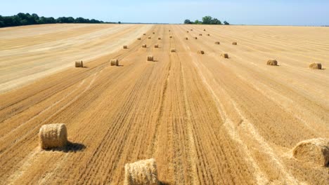 balas redondas en el campo vista aérea