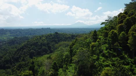 Plataforma-Rodante-Aérea-Sobre-La-Exuberante-Selva-Tropical-De-Bali,-Paisaje-Vibrante-Y-Crudo