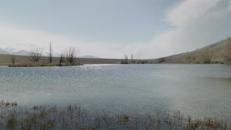 Agua-Brillante-De-Un-Pequeño-Lago-Bajo-El-Sol