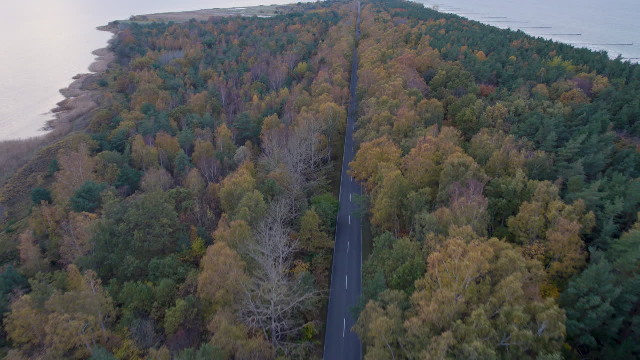 vuelo rápido del avión no tripulado a lo largo de una carretera recta a través de un verde bosque de otoño