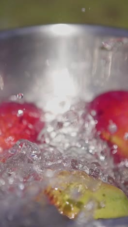 vertical-close-up-of-fresh-organic-mango-tropical-fruit-falling-in-to-clean-water