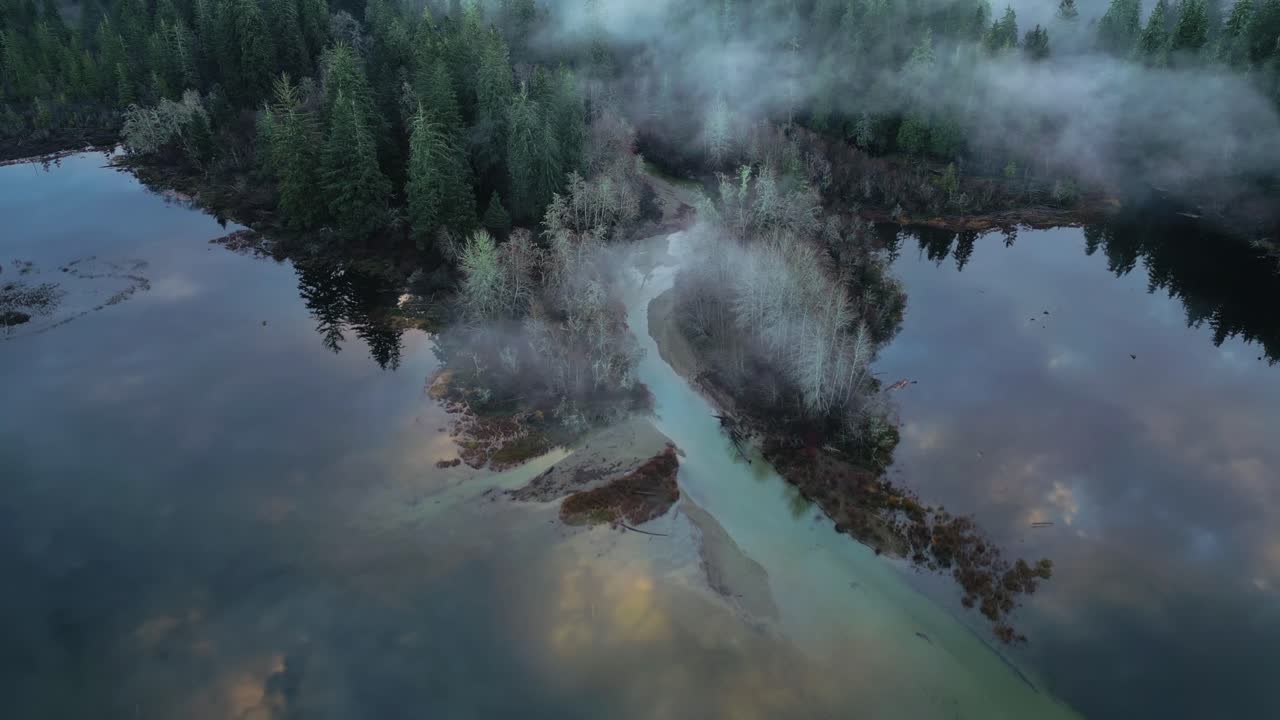 vista aérea de un lago pintoresco aislado y árboles neblinosos al amanecer